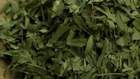تصویر 4 از خرید و فروش سبزی ترخون خشک با شرایط فوق العاده